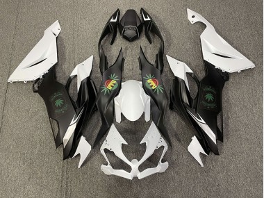 Happy Face 2019-2023 ZX6R Motorcycle Fairing