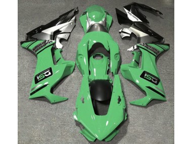Light Green DSI 2017-2023 CBR1000RR Motorcycle Fairing